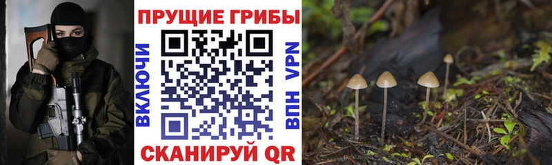 Псилоцибиновые грибы GOLDEN TEACHER  Купить где  Челябинск 